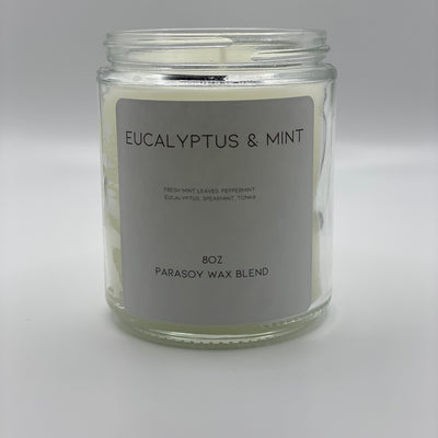 8oz Eucalyptus & Mint